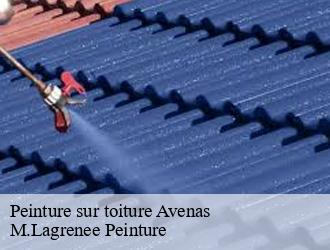 Peinture sur toiture  avenas-69430 M.Lagrenee Peinture