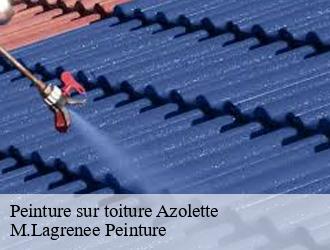 Peinture sur toiture  azolette-69790 M.Lagrenee Peinture