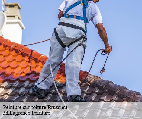 Peinture sur toiture  brussieu-69690 M.Lagrenee Peinture