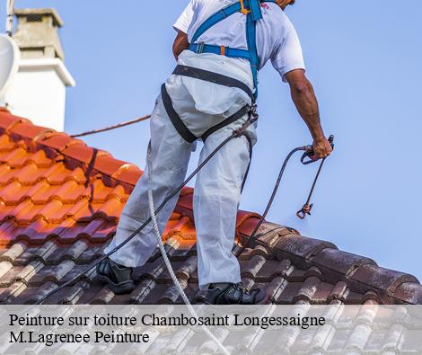 Peinture sur toiture  chambosaint-longessaigne-69770 M.Lagrenee Peinture