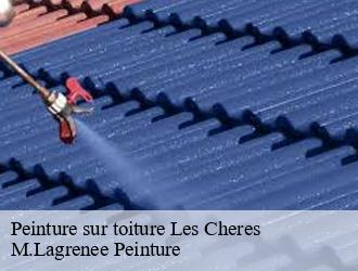 Peinture sur toiture  les-cheres-69380 M.Lagrenee Peinture