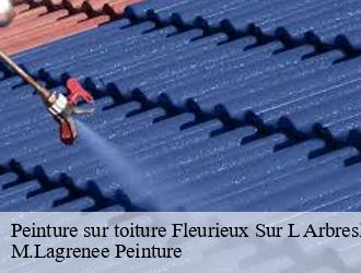 Peinture sur toiture  fleurieux-sur-l-arbresle-69210 M.Lagrenee Peinture