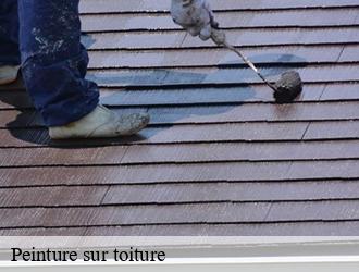 Peinture sur toiture  poule-les-echarmeaux-69870 M.Lagrenee Peinture