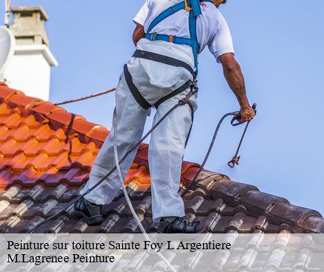 Peinture sur toiture  sainte-foy-l-argentiere-69610 M.Lagrenee Peinture