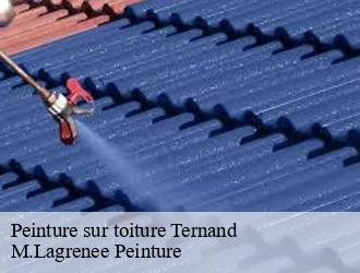 Peinture sur toiture  ternand-69620 M.Lagrenee Peinture