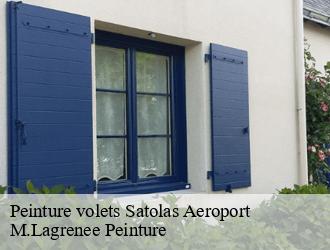 Peinture volets  satolas-aeroport-69125 M.Lagrenee Peinture