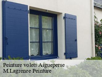 Peinture volets  aigueperse-69790 M.Lagrenee Peinture