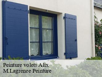 Peinture volets  alix-69380 M.Lagrenee Peinture