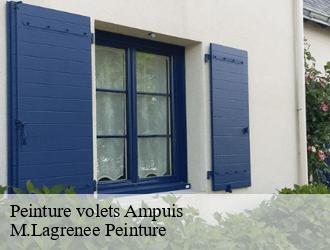 Peinture volets  ampuis-69420 M.Lagrenee Peinture