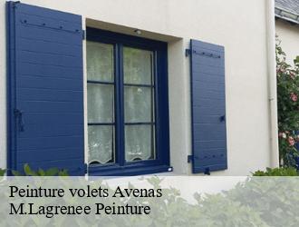 Peinture volets  avenas-69430 M.Lagrenee Peinture