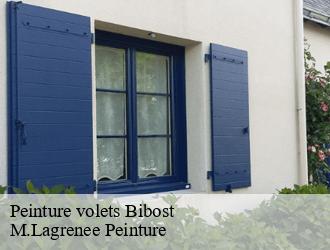 Peinture volets  bibost-69690 M.Lagrenee Peinture