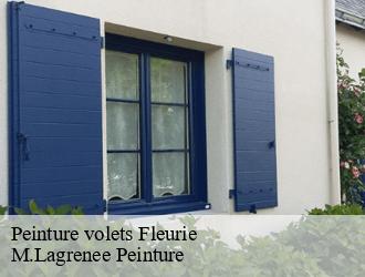 Peinture volets  fleurie-69820 M.Lagrenee Peinture