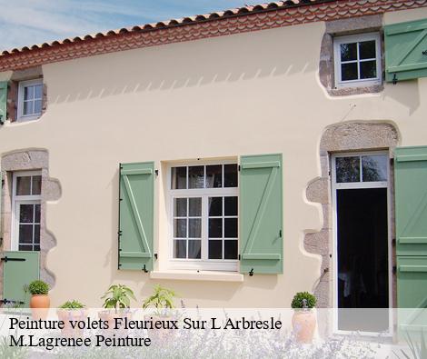 Peinture volets  fleurieux-sur-l-arbresle-69210 M.Lagrenee Peinture