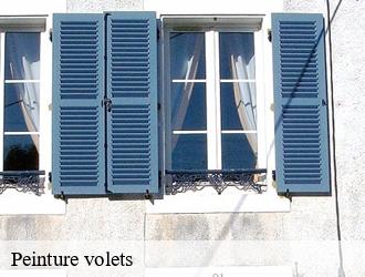 Peinture volets  fontaines-sur-saone-69270 M.Lagrenee Peinture