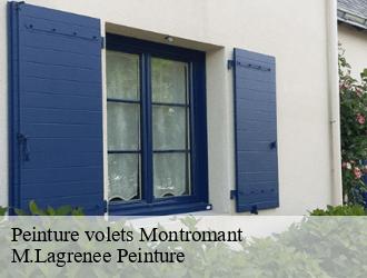 Peinture volets  montromant-69610 M.Lagrenee Peinture