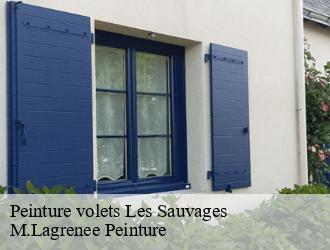 Peinture volets  les-sauvages-69170 M.Lagrenee Peinture