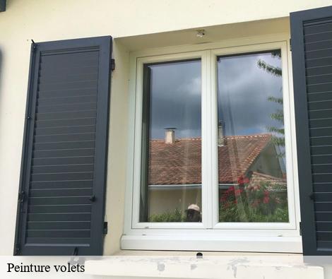 Peinture volets saint-georges-de-reneins-69830 M.Lagrenee Peinture